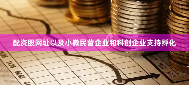 配资股网址以及小微民营企业和科创企业支持孵化